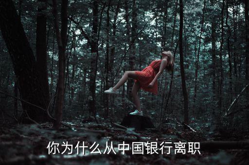 你為什么從中國(guó)銀行離職