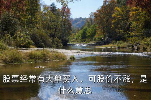 股票經(jīng)常有大單買入，可股價不漲，是什么意思