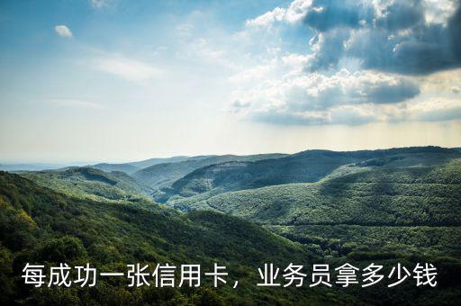 辦一張信用卡提成多少,業(yè)務員拿多少錢