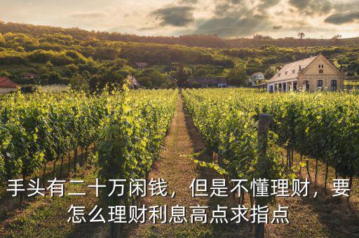 手頭有二十萬(wàn)閑錢，但是不懂理財(cái)，要怎么理財(cái)利息高點(diǎn)求指點(diǎn)