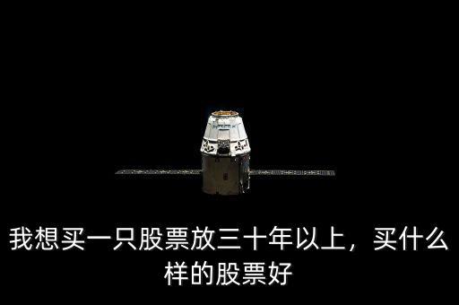 我想買一只股票放三十年以上，買什么樣的股票好