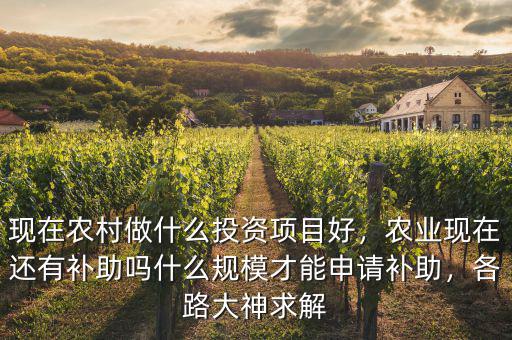 現(xiàn)在農(nóng)村做什么投資項(xiàng)目好，農(nóng)業(yè)現(xiàn)在還有補(bǔ)助嗎什么規(guī)模才能申請(qǐng)補(bǔ)助，各路大神求解