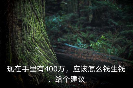現(xiàn)在手里有400萬，應該怎么錢生錢，給個建議