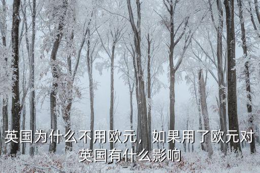英國為什么不用歐元，如果用了歐元對英國有什么影響
