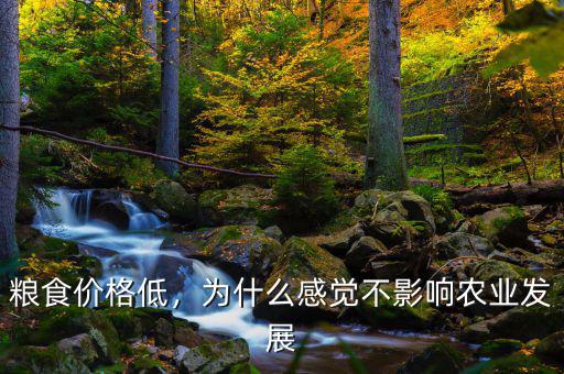 糧食價格低，為什么感覺不影響農(nóng)業(yè)發(fā)展