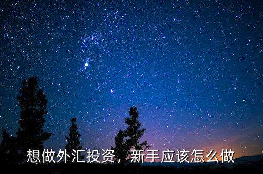 想做外匯投資，新手應(yīng)該怎么做