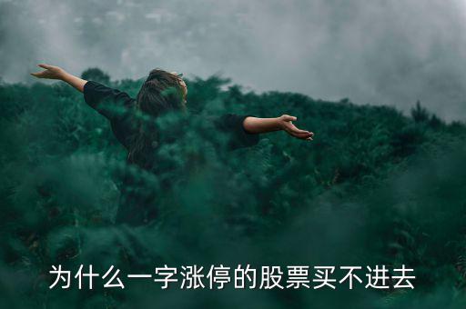 為什么一字漲停的股票買(mǎi)不進(jìn)去