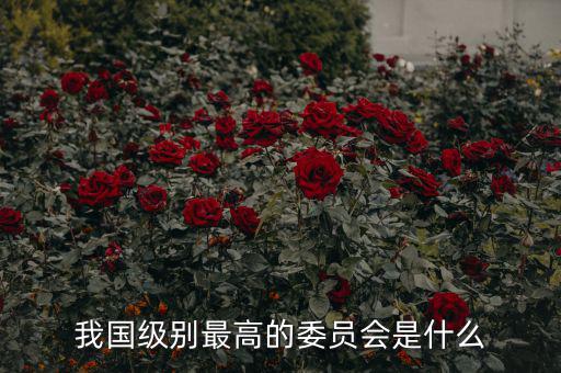 我國級(jí)別最高的委員會(huì)是什么