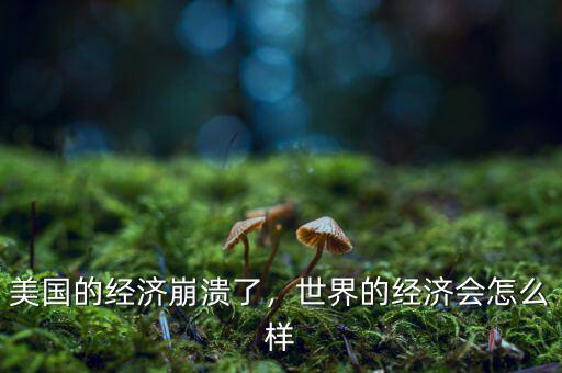 美國(guó)的經(jīng)濟(jì)崩潰了，世界的經(jīng)濟(jì)會(huì)怎么樣