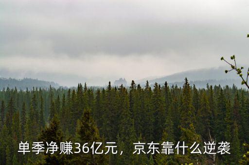 單季凈賺36億元，京東靠什么逆襲