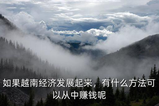 如果越南經(jīng)濟(jì)發(fā)展起來(lái)，有什么方法可以從中賺錢呢