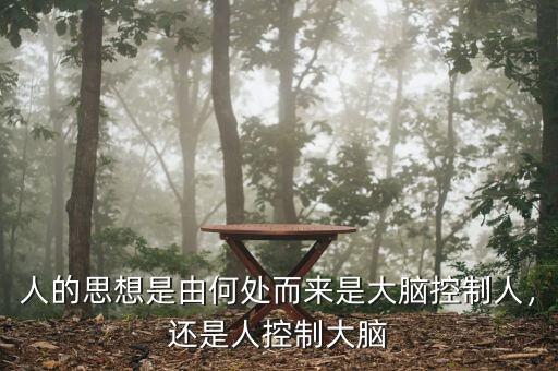 人的思想是由何處而來(lái)是大腦控制人，還是人控制大腦