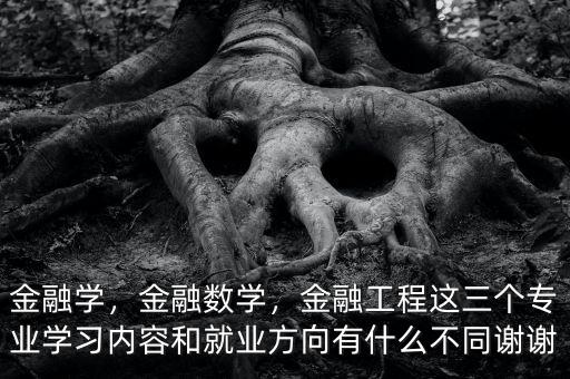 金融學，金融數(shù)學，金融工程這三個專業(yè)學習內(nèi)容和就業(yè)方向有什么不同謝謝