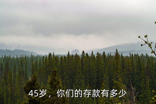 45歲，你們的存款有多少