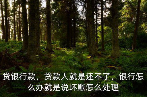 貸銀行款，貸款人就是還不了，銀行怎么辦就是說壞賬怎么處理