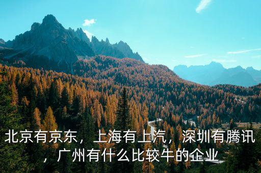 北京有京東，上海有上汽，深圳有騰訊，廣州有什么比較牛的企業(yè)