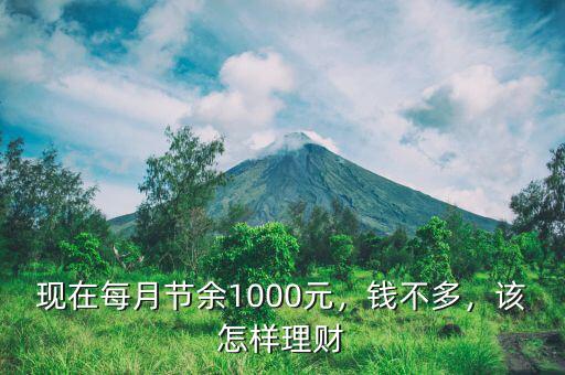 現(xiàn)在每月節(jié)余1000元，錢不多，該怎樣理財