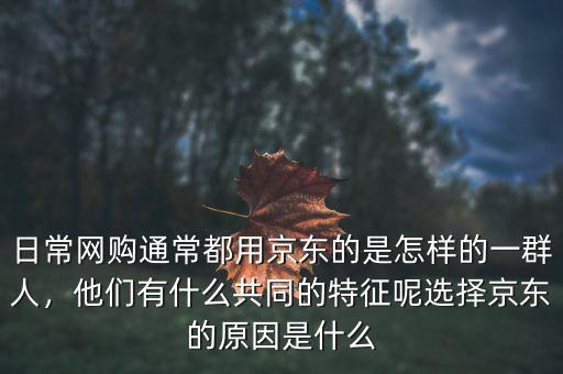 日常網(wǎng)購(gòu)?fù)ǔ６加镁〇|的是怎樣的一群人，他們有什么共同的特征呢選擇京東的原因是什么