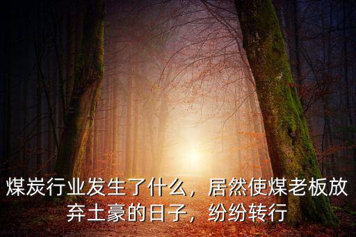 煤炭行業(yè)發(fā)生了什么，居然使煤老板放棄土豪的日子，紛紛轉(zhuǎn)行