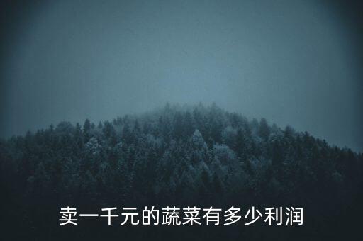 賣一千元的蔬菜有多少利潤