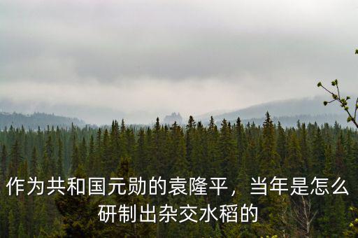 作為共和國(guó)元?jiǎng)椎脑∑?，?dāng)年是怎么研制出雜交水稻的