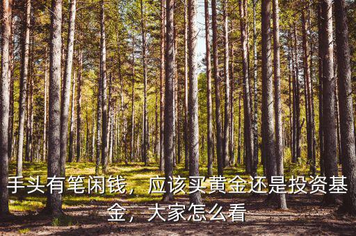 手頭有筆閑錢，應(yīng)該買黃金還是投資基金，大家怎么看