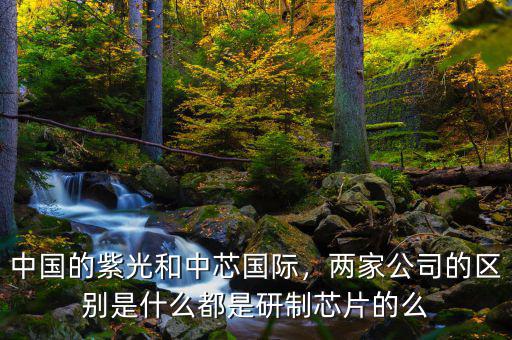 中國(guó)的紫光和中芯國(guó)際，兩家公司的區(qū)別是什么都是研制芯片的么