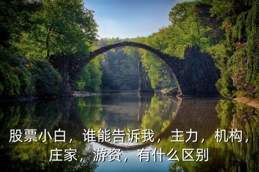 股票什么是主力,炒股的人總會(huì)聽(tīng)到說(shuō)主力
