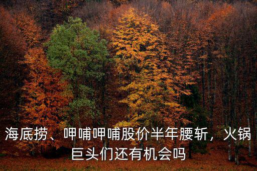 海底撈、呷哺呷哺股價半年腰斬，火鍋巨頭們還有機會嗎