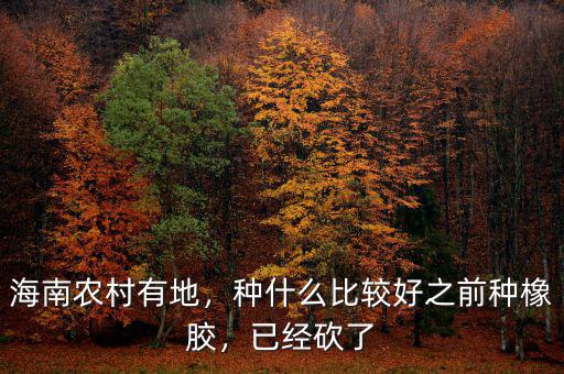 海南農(nóng)村有地，種什么比較好之前種橡膠，已經(jīng)砍了