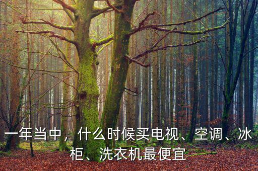 一年當(dāng)中，什么時候買電視、空調(diào)、冰柜、洗衣機(jī)最便宜