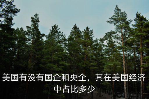 美國有沒有國企和央企，其在美國經(jīng)濟(jì)中占比多少