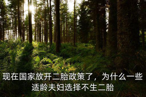 現(xiàn)在國家放開二胎政策了，為什么一些適齡夫婦選擇不生二胎