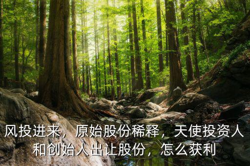 風投進來，原始股份稀釋，天使投資人和創(chuàng)始人出讓股份，怎么獲利
