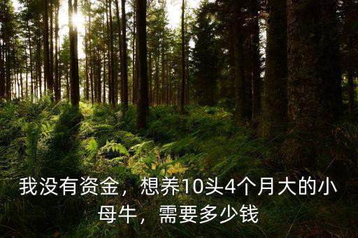 我沒有資金，想養(yǎng)10頭4個月大的小母牛，需要多少錢