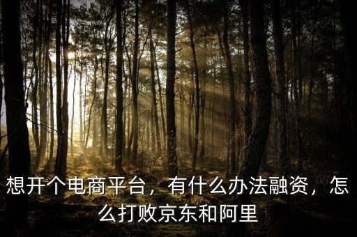 想開(kāi)個(gè)電商平臺(tái)，有什么辦法融資，怎么打敗京東和阿里