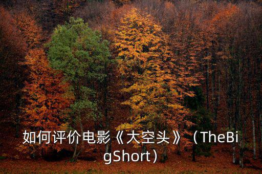 如何評價(jià)電影《大空頭》（TheBigShort）