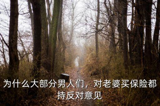 為什么大部分男人們，對老婆買保險(xiǎn)都持反對意見