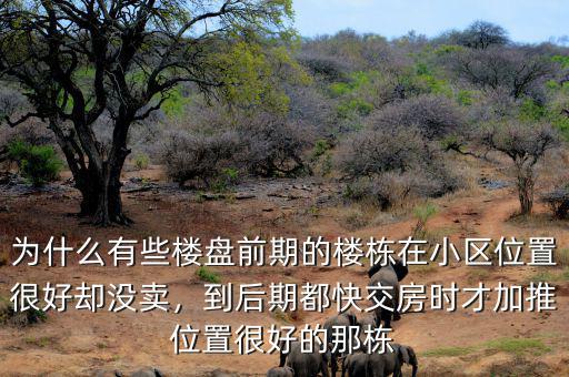 為什么有些樓盤(pán)前期的樓棟在小區(qū)位置很好卻沒(méi)賣(mài)，到后期都快交房時(shí)才加推位置很好的那棟