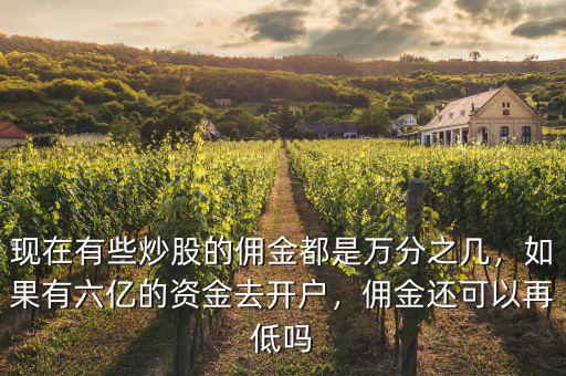 現(xiàn)在有些炒股的傭金都是萬(wàn)分之幾，如果有六億的資金去開戶，傭金還可以再低嗎