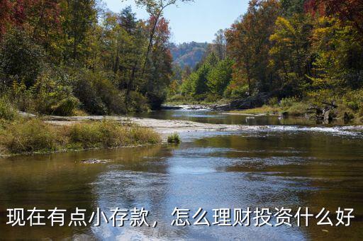 現(xiàn)在有點(diǎn)小存款，怎么理財投資什么好
