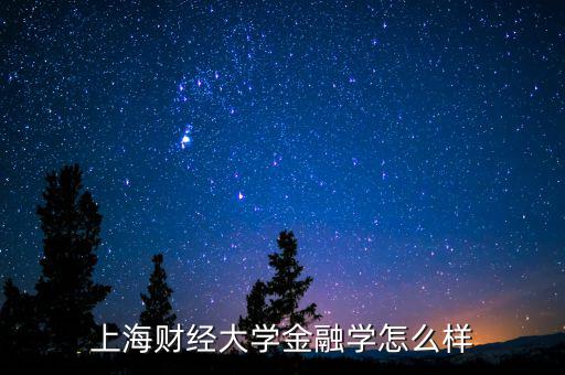 上海開(kāi)利財(cái)經(jīng)怎么樣,上海財(cái)經(jīng)大學(xué)數(shù)學(xué)專業(yè)怎么樣