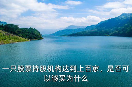 一只股票持股機(jī)構(gòu)達(dá)到上百家，是否可以夠買為什么