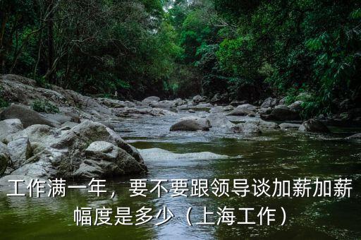 工作滿一年，要不要跟領(lǐng)導(dǎo)談加薪加薪幅度是多少（上海工作）