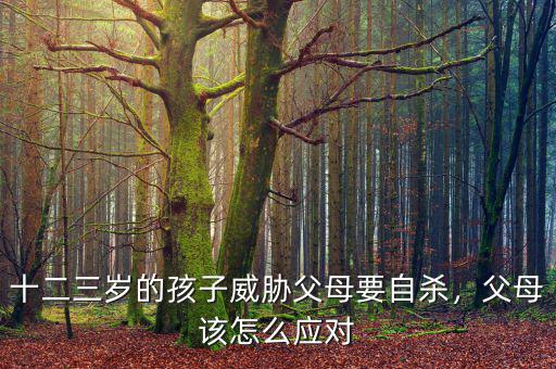 十二三歲的孩子威脅父母要自殺，父母該怎么應(yīng)對