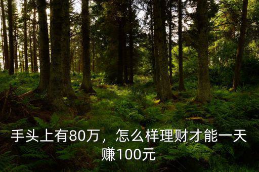 手頭上有80萬，怎么樣理財才能一天賺100元