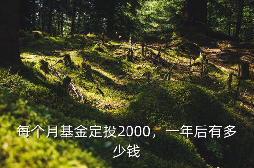 每個(gè)月基金定投2000，一年后有多少錢(qián)