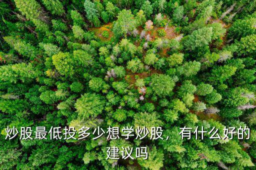 炒股最低投多少想學(xué)炒股，有什么好的建議嗎