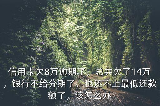 信用卡欠8萬逾期了，總共欠了14萬，銀行不給分期了，也還不上最低還款額了，該怎么辦