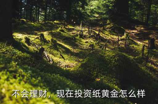 不會(huì)理財(cái)，現(xiàn)在投資紙黃金怎么樣